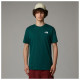 The North Face Ανδρική κοντομάνικη μπλούζα Box NSE Celebration Tee